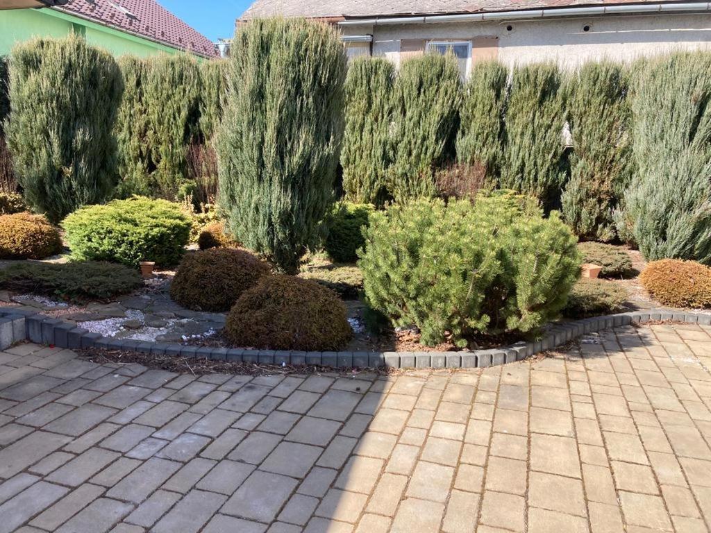 Apartmany Sabinovska Prešov Exterior foto